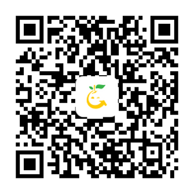 Soillight iOS QR code